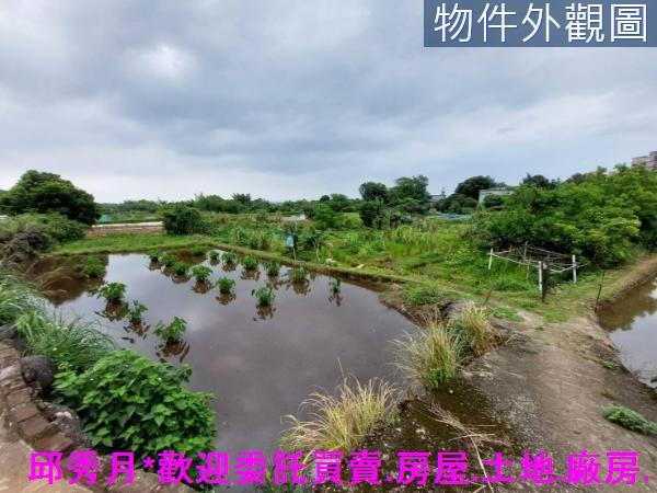 三芝農地-0