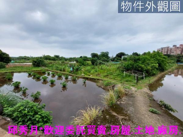 三芝農地-2
