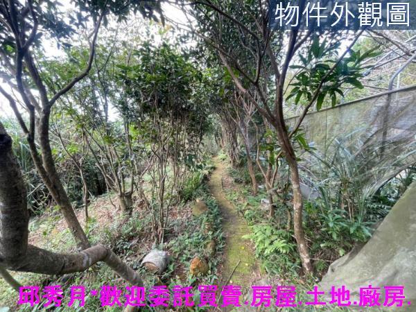 三芝農地-9