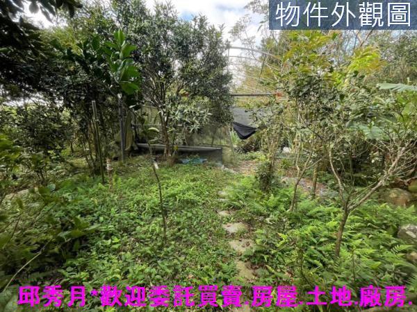 三芝農地-10