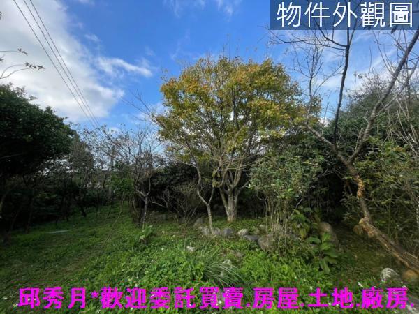 三芝農地-12