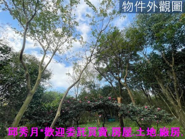 三芝農地-13