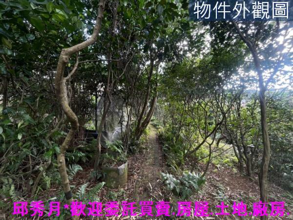 三芝農地-7