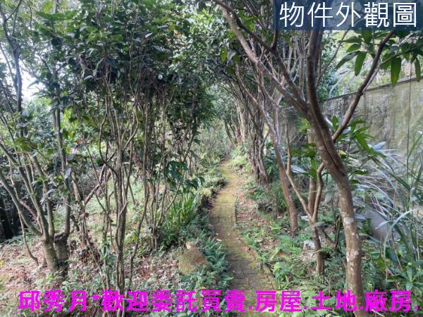 三芝農地-8