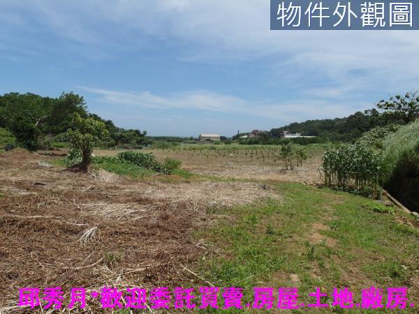 新北三芝農地-6