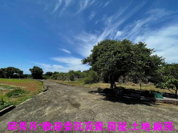 淡水農地-3