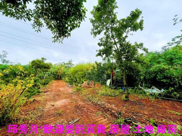 淡水都市計畫內-4