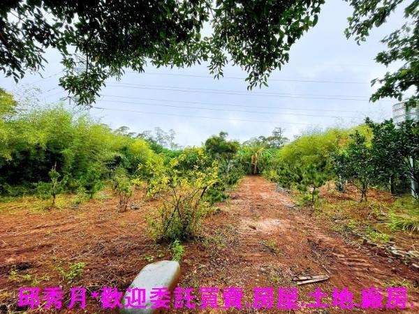 淡水都市計畫內-6