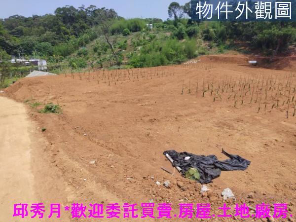 淡水農地-1