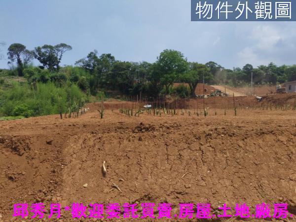 淡水農地-2