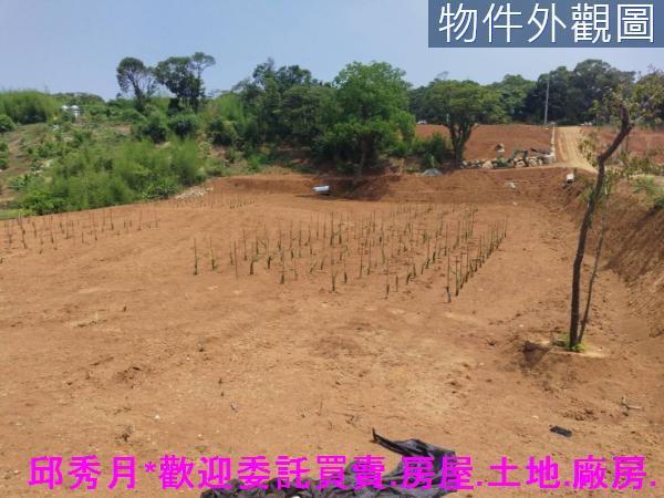 淡水農地-3