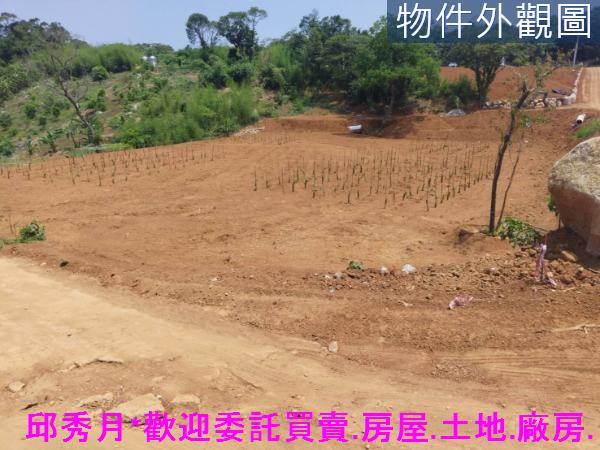 淡水農地-4
