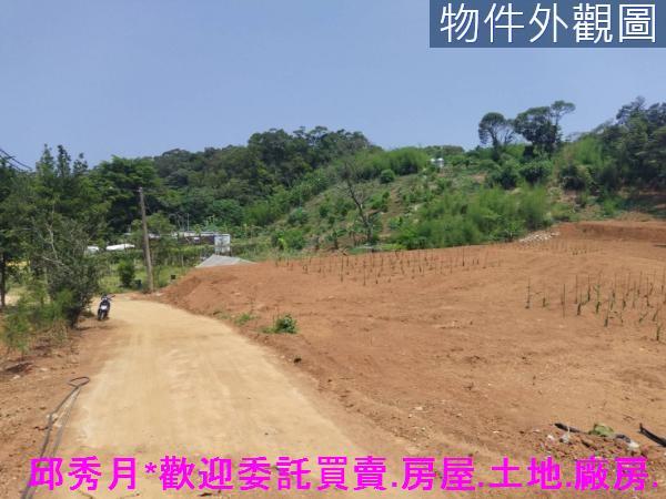 淡水農地-6
